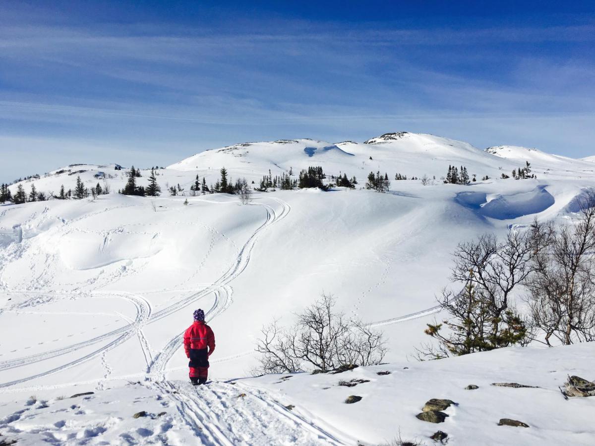 Valagardens Vaerdshus Och Camping Ab Valadalen ภายนอก รูปภาพ